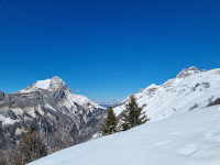 Le Trelod et la Pointe d'Arcalod